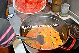 Frijoles planos con tomate - (tomate) Comience a cocinar