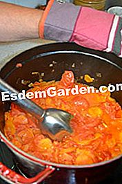 Frijoles planos con tomate - (minutos) mezclador