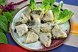 Gigitan Amaranth - (gigitan) Samosha dengan amaranth (atau ekor rubah)