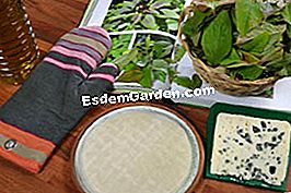Gigitan Amaranth - (daun) Bahan-bahan untuk resipi
