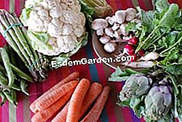 Buffet de verduras - (limón) Mercado de verduras