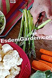Buffet de verduras - (verduras) Pelar y cortar las verduras de temporada