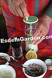 Buffet de verduras - (verduras) Mezcle los ingredientes
