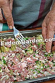 Cardoons au gratin - gratin A gratin-tĂĄl dĂszĂtĂ©se