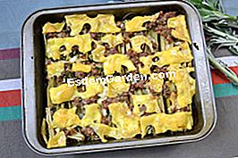 Cardoons au gratin - gratin Cardoons au gratin