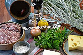 Cardons gratinados - (cardo) Ingredientes para la receta