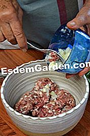 Cardons gratinados - (minutos) preparar el relleno