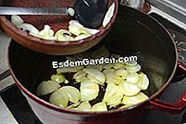 Fricassee ayam dengan lobak merah dan buah zaitun - (buah) Bawang merah