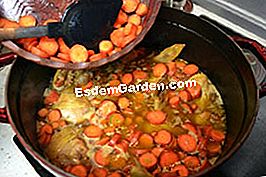 Fricassee ayam dengan lobak merah dan buah zaitun - (buah) Tambah wortel dipotong menjadi kepingan