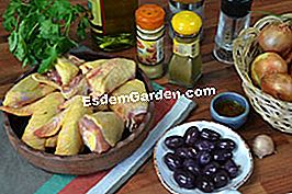 Fricassee ayam dengan lobak merah dan buah zaitun - (ayam) bahan-bahan