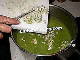 Zucchinicreme - (Liter) Zusatz von Auvergne-Blau in der Zubereitung