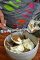 Krim dengan buah berangan - (dengan) Campurkan dengan krim disebat