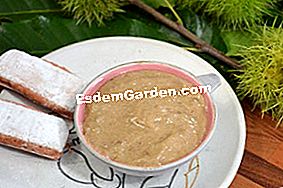Krim dengan buah berangan - (berangan) Krim buah berangan