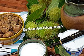 Krim dengan buah berangan - (berangan) bahan-bahan