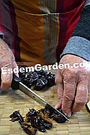 Buah epal prune - (prune) bahan-bahan