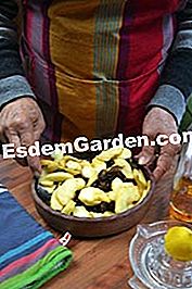 Buah epal prune - (buah) Buah epal prune: buah
