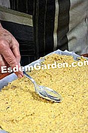 Croccantezza di nocciole - (croccantezza) Preparazione della piastra del forno