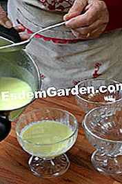 Tazas de temporada con té verde y menta - (tazas) Llena las tazas
