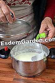 Cesti de sezon cu ceai verde si menta - (ceai) Ceai de ceai