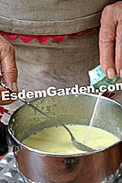 Cesti de sezon cu ceai verde si menta - (verde) Se toarna agarul-agar