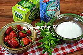 Cesti de sezon cu ceai verde si menta - (ceai) ingrediente