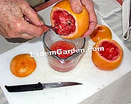 Dessert di pompelmo - (cottura) Mangia il pompelmo