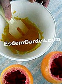 Dessert di pompelmo - (minuti) Mescolare uova e zucchero