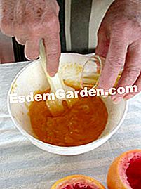 Dessert di pompelmo - (succo) Aggiungi Armagnac