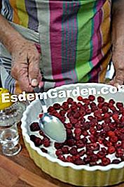 Arroz y pudín de frambuesa - (arroz) instalación de frutas en el fondo del plato