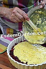 Arroz y pudín de frambuesa - (pudín) cubrimos las frambuesas con la preparación