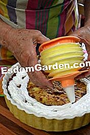 Arroz y pudín de frambuesa - (arroz) depósito del merengue