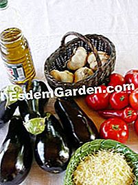 Melanzane provenzale - (provenzale) Ingredienti per melanzane in provenzale