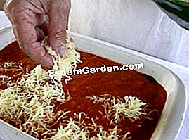 Melanzane provenzale - (melanzane) cospargere con formaggio grattugiato
