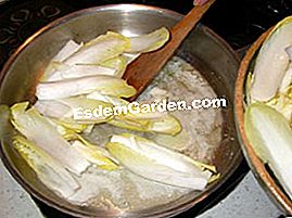 Karamellisierte Endivien mit Orangensaft - (Orangensaft) Butter Endivien kochen