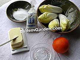 Karamellisierte Endivien mit Orangensaft - (Minuten) Endivienrezept der Bestandteile mit Orange