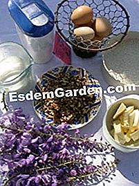 Le pere di Nun con noci e fiori di glicine - (noci) Ingredienti per scoregge suore con fiori di glicine e noci