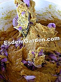Le pere di Nun con noci e fiori di glicine - (glicine) Fiori di glicine nell'impasto