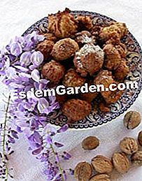 Le pere di Nun con noci e fiori di glicine - (glicine) Nun's noodles con fiori di glicine e noci