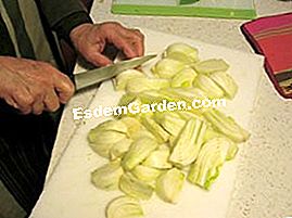 Finocchio delle colline - (cipolle) Tagliare il finocchio