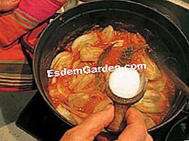 Finocchio delle colline - (delle) Cucinare la preparazione