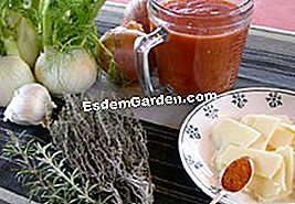 Finocchio delle colline - (minuti) ingredienti