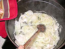 Finocchio delle colline - (minuti) Tagliare le cipolle