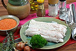 File de linte de corali de merluciu - (file) ingrediente