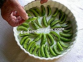 Flaugnarde dengan kiwi - (minit) Kami mempunyai kiwi dalam hidangan itu