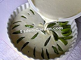 Flaugnarde dengan kiwi - (flaugnarde) Kami melindungi kiwi dengan peranti ini