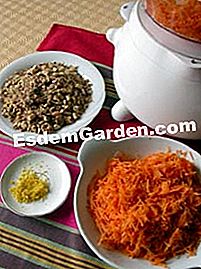 Fluffy nocciola - carota - (carota) Ingredienti della torta morbida con nocciole e carota