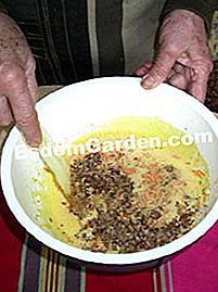 Fluffy nocciola - carota - (nocciola) Ingredienti della torta morbida con nocciole e carote