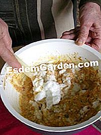 Fluffy nocciola - carota - (minuti) Ingredienti della torta morbida con nocciole e carote