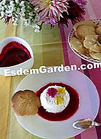 Coulis de frutas vermelhas, farandole de biscoitos e queijo cottage