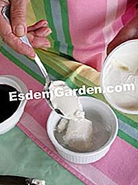 Verrine mature piccole svizzere - (cucchiai) Verrine mature piccole svizzere: svizzere